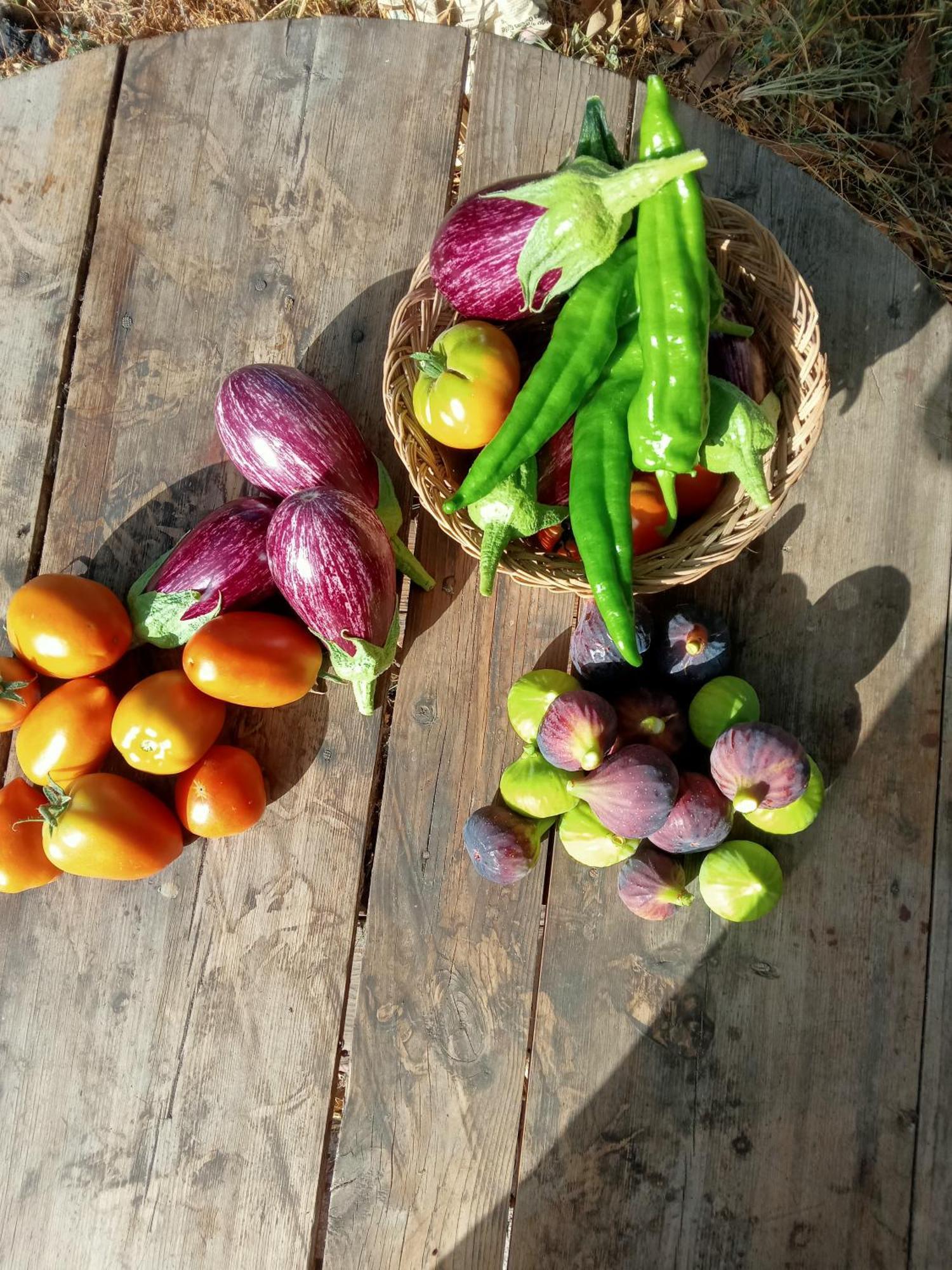 Tuguest Hortichuela House Villa Ugijar Ngoại thất bức ảnh