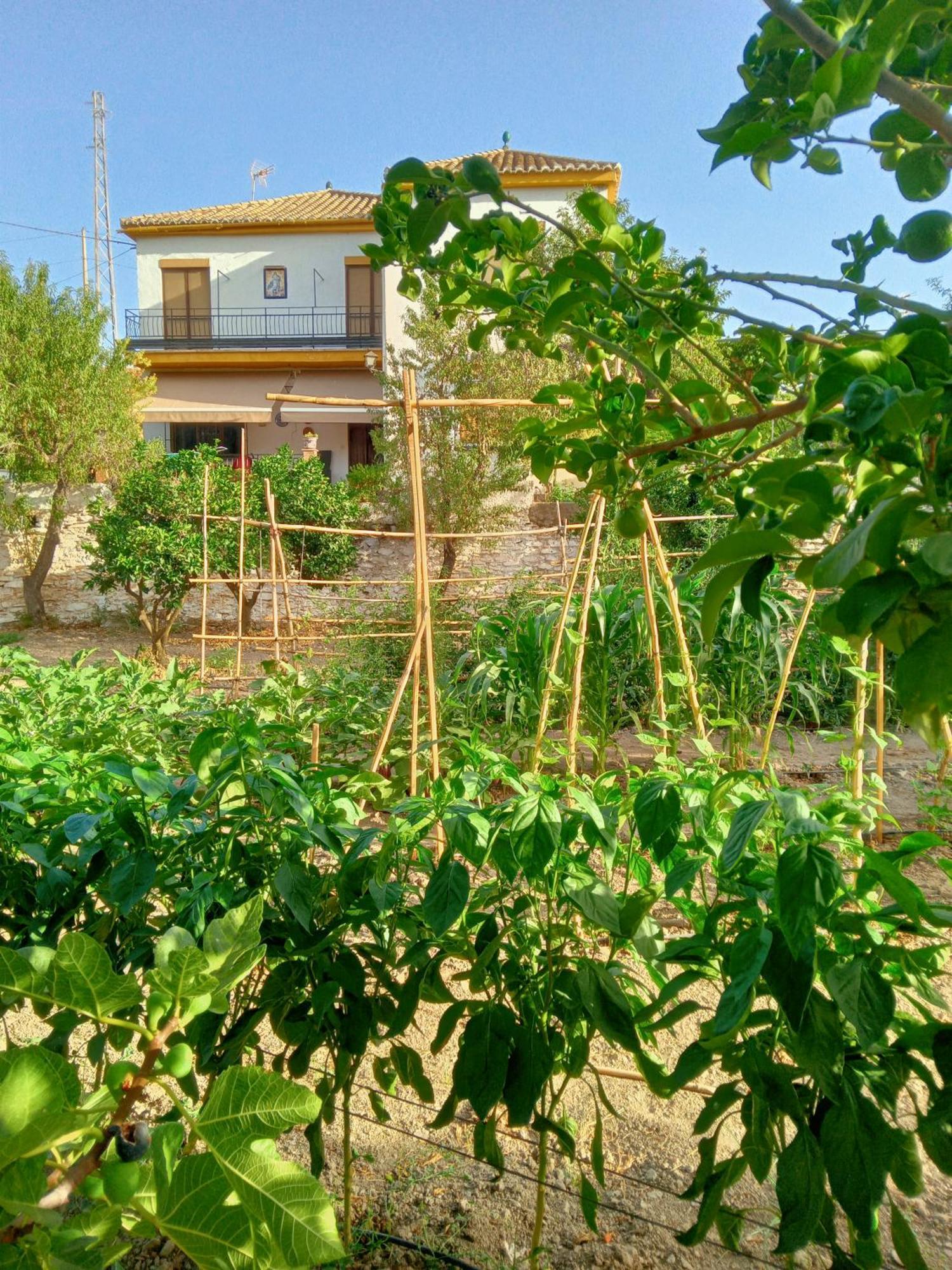 Tuguest Hortichuela House Villa Ugijar Ngoại thất bức ảnh