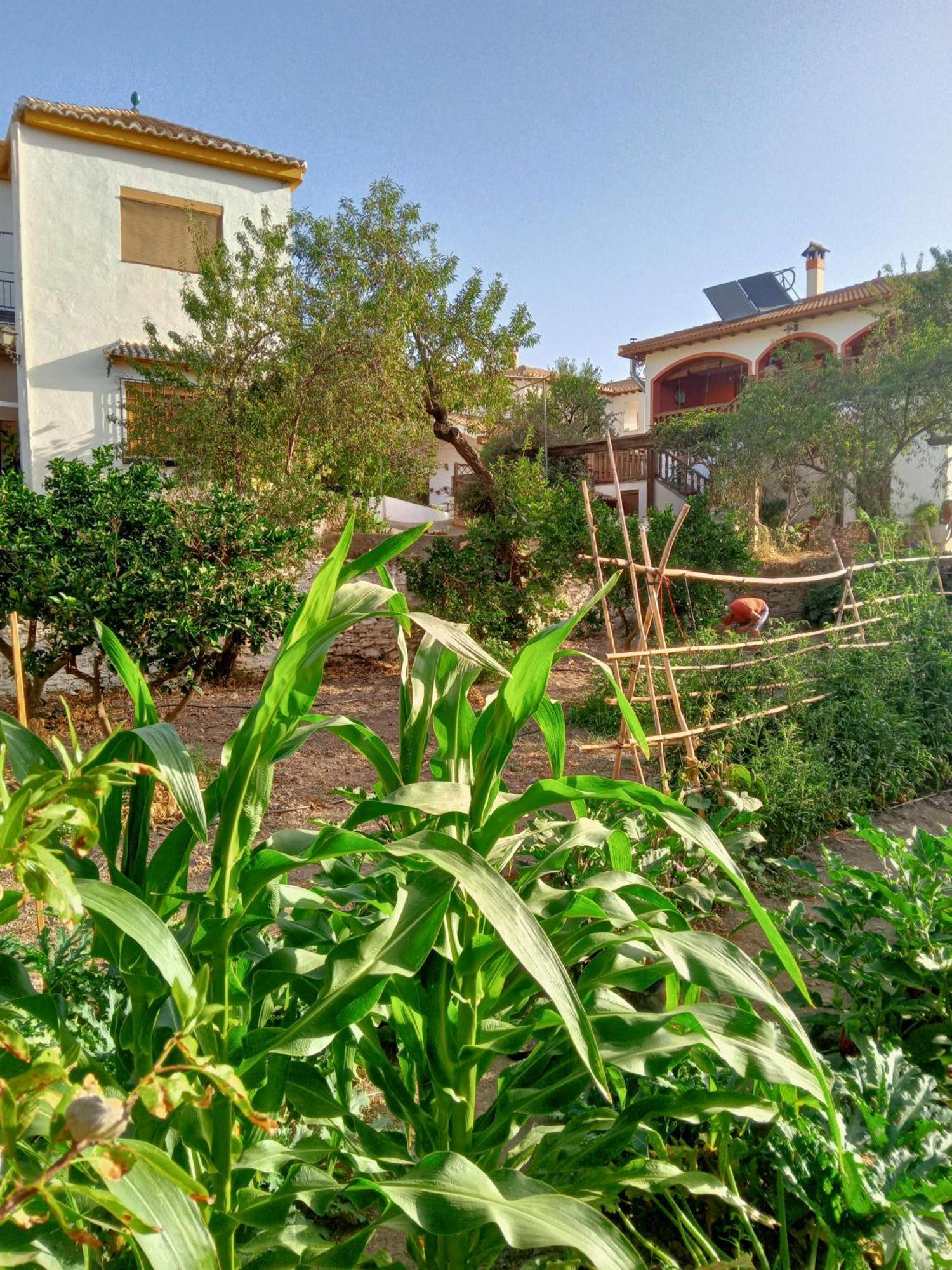 Tuguest Hortichuela House Villa Ugijar Ngoại thất bức ảnh